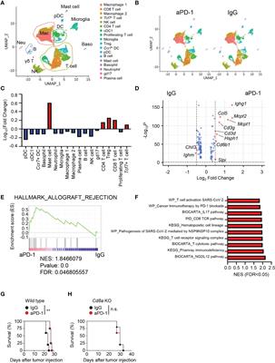 The immune landscape of high-grade brain tumor after treatment with immune checkpoint blockade